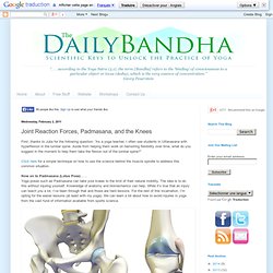 The Daily Bandha: Joint Reaction Forces, Padmasana, and the Knees