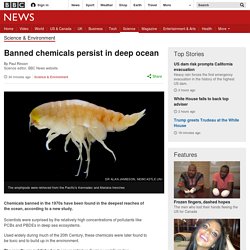 Banned chemicals persist in deep ocean