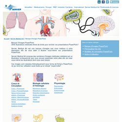 Banque d'images PowerPoint