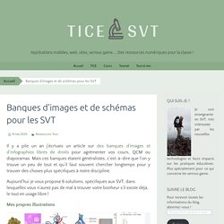 Banques d’images et de schémas pour les SVT – TICE SVT