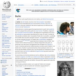 Barbe