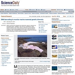 DNA barcoding to monitor marine mammal genetic diversity