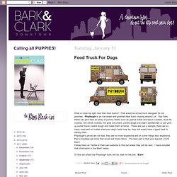 Food Truck For Dogs
