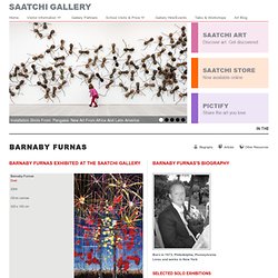 Barnaby Furnas - Artwork - The Saatchi Gallery