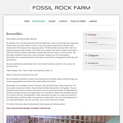 Fossil Rock Farm