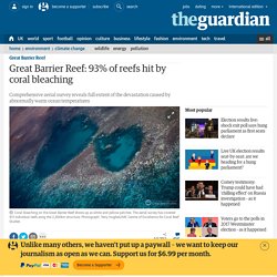 Great Barrier Reef: 93% of reefs hit by coral bleaching