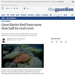 Great Barrier Reef loses more than half its coral cover