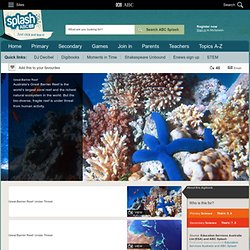 Great Barrier Reef - science(5,6,7,8) - ABC Splash -