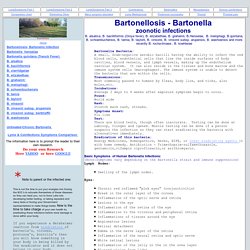 Bartonella - Bartonellosis - Bartonella infections zoonotic coinfections