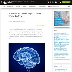 What is Your Basal Ganglia? How it Works for You - CogniFit's Blog