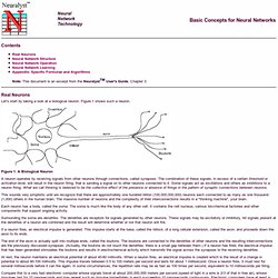 Basic Concepts for Neural Networks