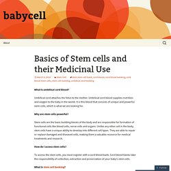 Basics of Stem cells and their Medicinal Use