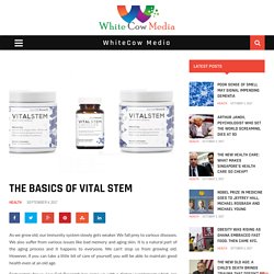 The Basics of Vital Stem