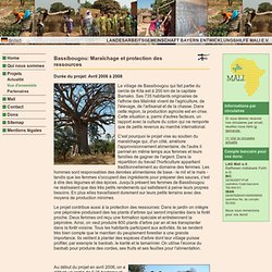 Bassibougou au Mali: Maraîchage et protection des ressources