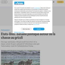 Etats-Unis : bataille politique autour de la chasse au grizzli - Le Parisien