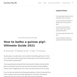 How to bathe a guinea pig?- Ultimate Guide 2021