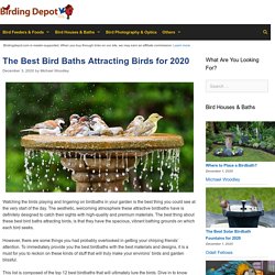 12 Best Bird Baths Attracting Birds Reviewed and Rated in 2020