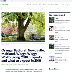 Orange, Bathurst, Newcastle, Maitland, Wagga Wagga, Wollongong: 2018 property and what to expect in 2019