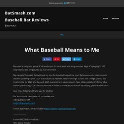 Baseball Bat Reviews - What Baseball Means to Me