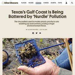 Texas’s Gulf Coast Is Being Battered by ‘Nurdle’ Pollution