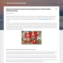 Baumann Is the Home of American Ginseng Benefits for The Best Quality American Ginseng