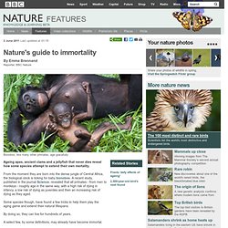 BBC Nature - Nature&#039;s guide to immortality