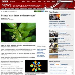 Plants &#039;can think and remember&#039;