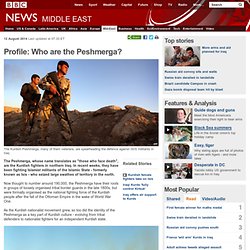 Profile: Who are the Peshmerga?