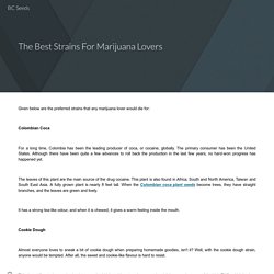 The Best Strains For Marijuana Lovers