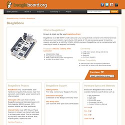 BeagleBone