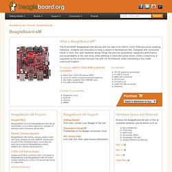 BeagleBoard standAlone ARM