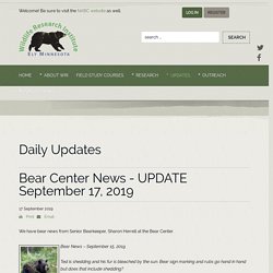 Bear Center News - UPDATE September 17, 2019