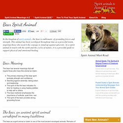 Bear Spirit Animal