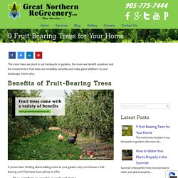9 Fruit Bearing Trees for Your Home
