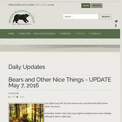 Bears and Other Nice Things - UPDATE May 7, 2016