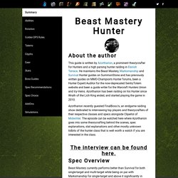Beast Mastery Hunter