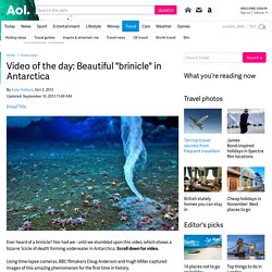 Video of the day: Beautiful "brinicle" in Antarctica