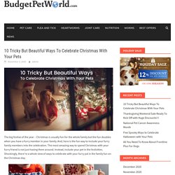 10 Tricky But Beautiful Ways To Celebrate Christmas With Your Pets – BudgetPetWorld