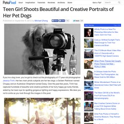 Teen Girl Shoots Beautiful and Creative Portraits of Her Pet Dogs