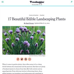 17 Beautiful Edible Landscaping Plants