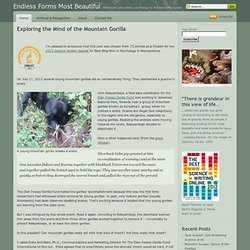 Endless Forms Most Beautiful » Blog Archive » Exploring the Mind of the Mountain Gorilla