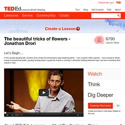The beautiful tricks of flowers - Jonathan Driori