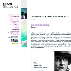 green is beautiful - {numéro 9} – grey owl - un fantasme boréal