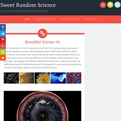 Beautiful Science 6