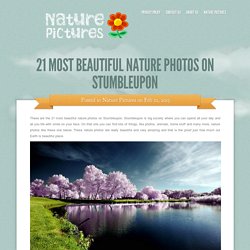 21 Most Beautiful Nature Photos On Stumbleupon