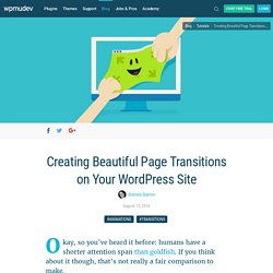 Creating Beautiful Page Transitions on Your WordPress Site