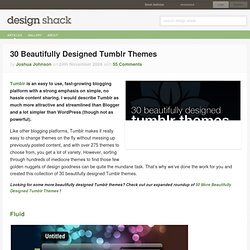 30 Beautifully Designed Tumblr Themes