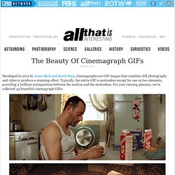 The Beauty Of Cinemagraph GIFs