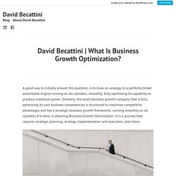 What Is Business Growth Optimization? – David Becattini