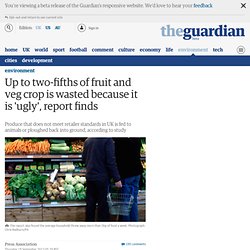 Up to two-fifths of fruit and veg crop is wasted because it is 'ugly', report finds